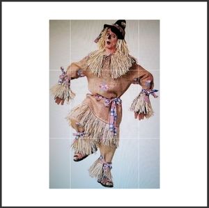 Scarecrow Dressup Costume